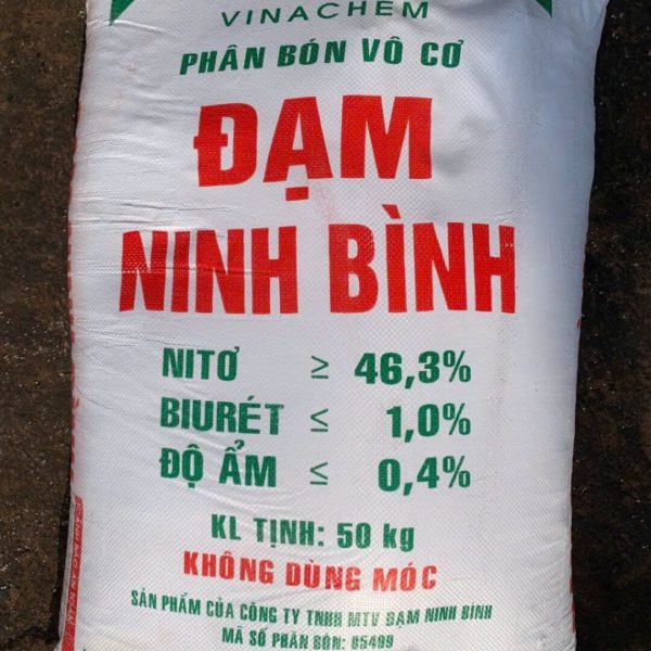 Đạm Ninh Bình